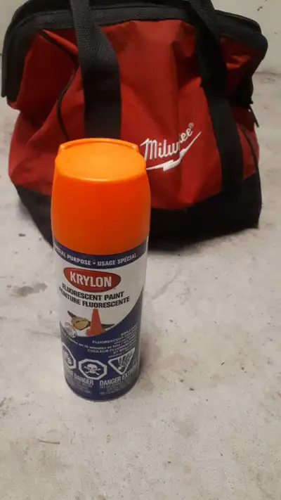 Krylon Fluorescent Paint, View more