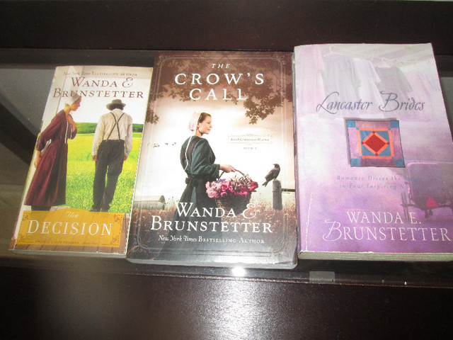 Amish Fiction in Fiction in Owen Sound - Image 2