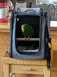 Petsfit Pet Bird Backpack Carrier