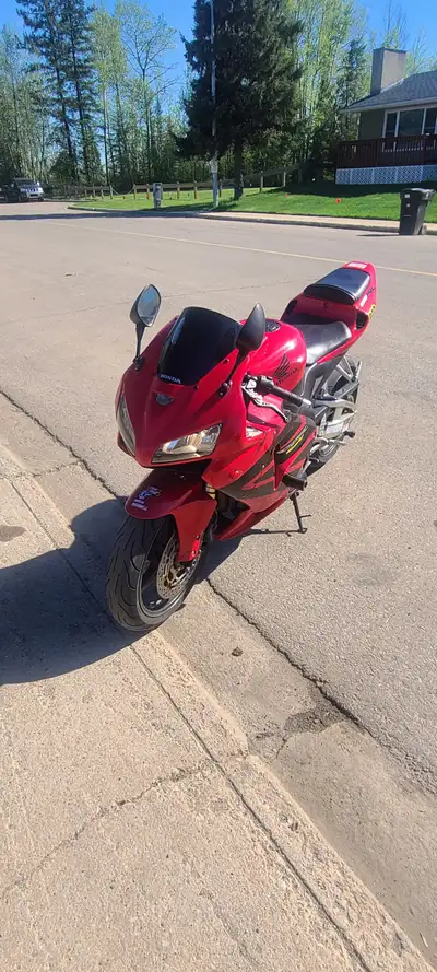 New chain and sprockets at the end of season last year
