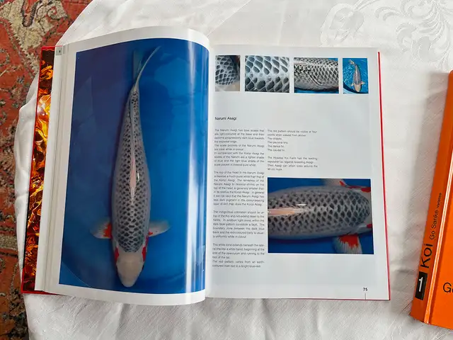 Koi 1 & Koi 2 – Mint Hardcover Set by Harald Bachmann in Other in City of Toronto - Image 9