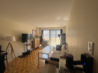 Downtown Montreal APT FOR RENT