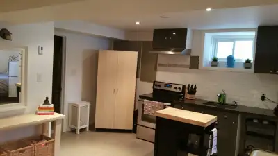 Lower Annex Renovated Open Bachelors Basement Apartment