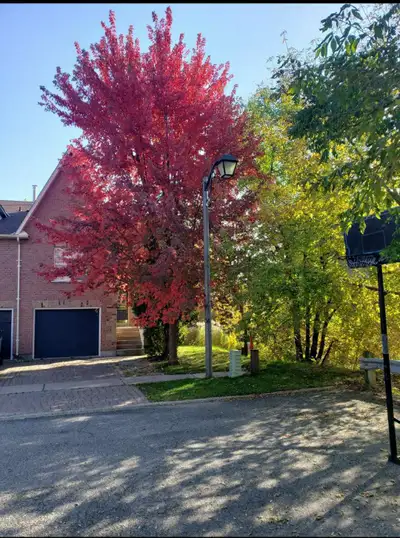 2 furnished spacious rooms with lots of natural light available from end of May.Rooms include unlimi...