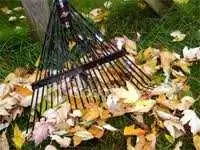 leaf raker yardwork helper available 