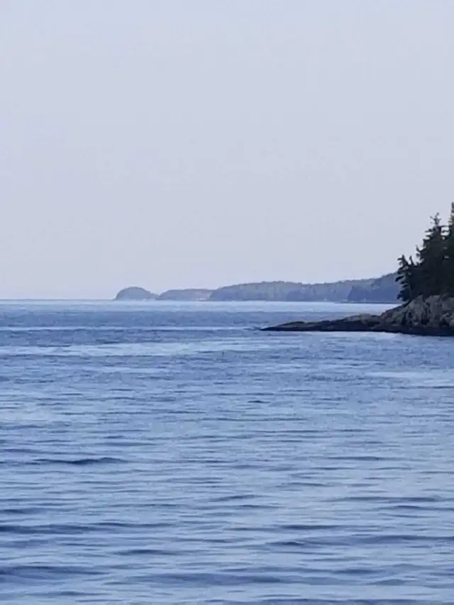 One Bedroom Ocean Front Tranquilty Avail OCT - ALL Utilities INC