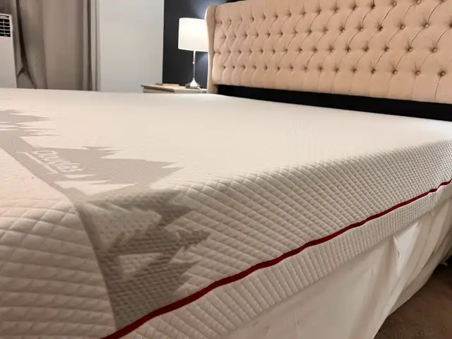 Douglas set of king bed62863269783427121