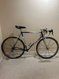 Concorde Frameset, with some parts; 56cm