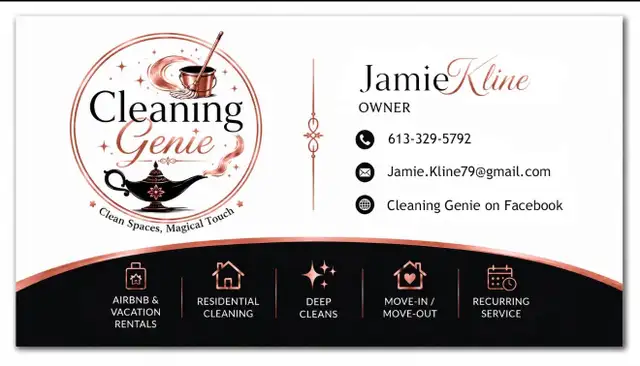 cleaning Genie