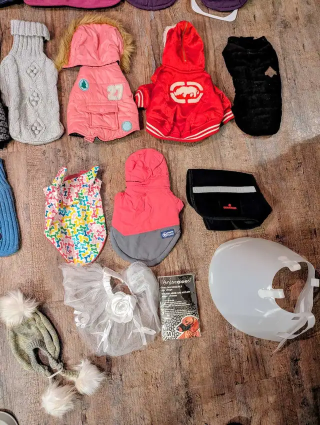 DOG Coats,l & Jackets, safety cone, lg rope toy, water bott in Other in Moncton - Image 8