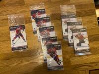 Cartes /Hockey Cards Canadiens de Montréal Recettes Provigo 2019