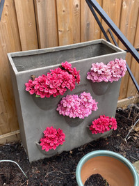 Outdoor garden planter for sale (moving sale: needs to go) 