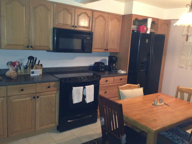 Sarnia fully furnished upstair room in Room Rentals & Roommates in Sarnia - Image 4