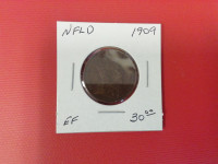 1909 Newfoundland One Cent Coin