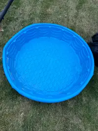 Polygroup Wading Dog Pool