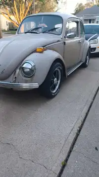1970 beetle 