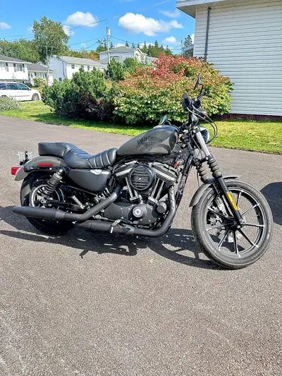 2018 Harley Iron 883 3300km Denim Grey 2 up passenger seat