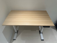 Electric Standing Desk