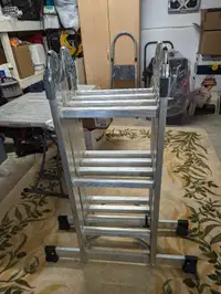 12' Masters Craft Multi hinge ladder.