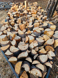 Camp Firewood for Sale