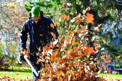 lawn care & leaf cleanup , View more