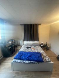 Large Room For Rent 