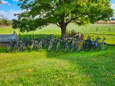 Adult Mountain Bikes For Sale, Front Row: 1st Bike, Grey Norco Mountaineer, 17 inch aluminum frame,...