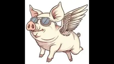 AIR PIGs, View more