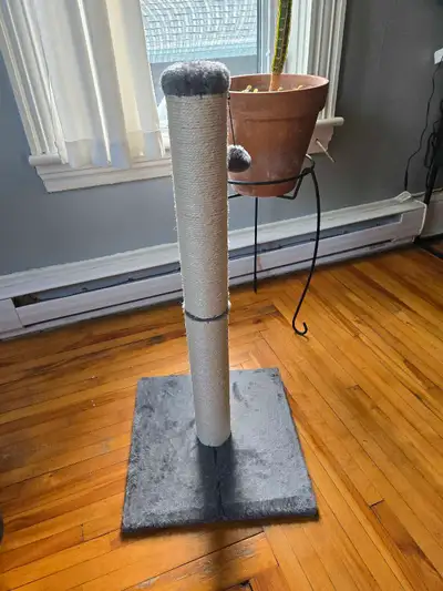Bought this on Amazon recently and my cat wont go near it... so its unused and in mint condition. Th...