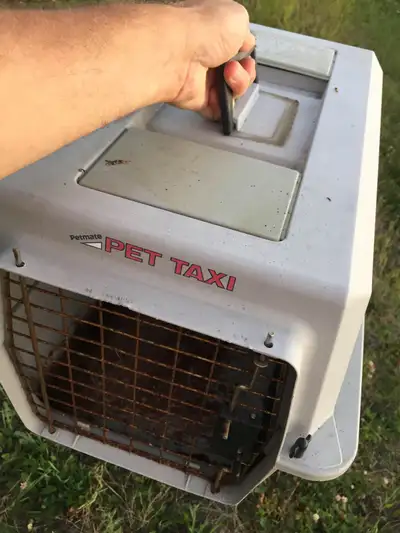 Petmate Pet Taxi, View more