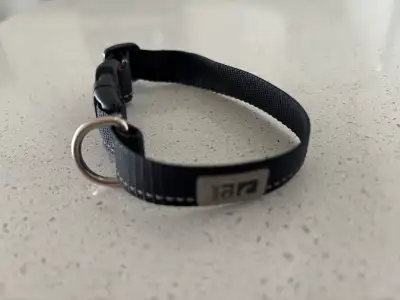 RC Pets Small Dog Collar - Brand New , View more