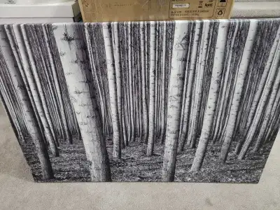 Art, and Area Rug, View more