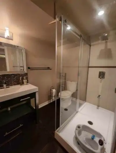 Basement Apartment