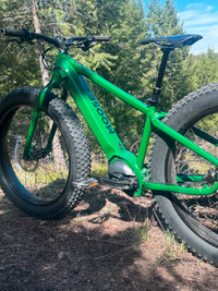Moose Bicycle e-fatbike (Medium)