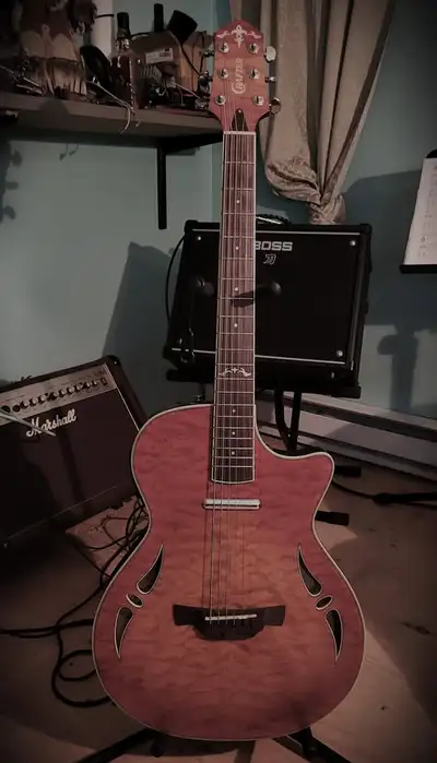 Hybrid Electric Guitar – Crafter SA QMOS Serial Number: HCRJCW00, View more
