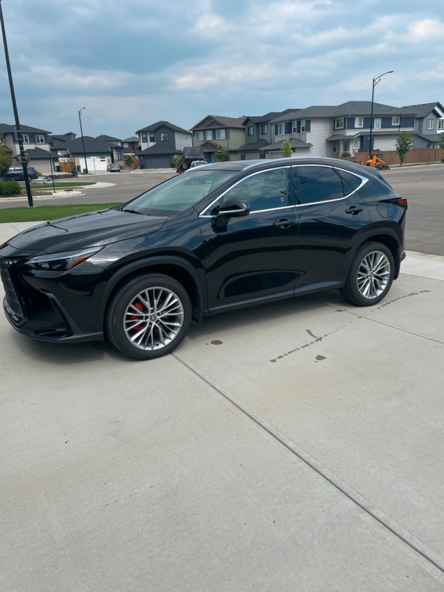 2025 Lexus NX 350 Luxury Package in Cars & Trucks in Edmonton