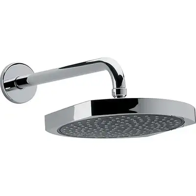 Chrome Showerhead with arm, View more