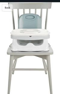 Fisher Price Healthy Care Deluxe Booster Seat