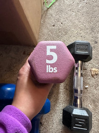 New Balance Dumbbells Hand Weights 5LB