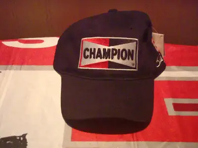 Dale Earnhardt Jr Champion Hat New you pay for shipping
