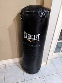 Everlast Punching Bag (70 lbs)