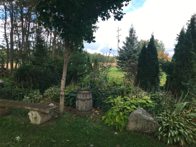 Fall Yard Cleanup in Lawnmowers & Leaf Blowers in Kawartha Lakes - Image 2