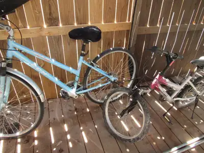 Lot of two bike with good deal total $68, View more