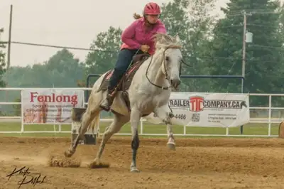 Horseback riding lessons, View more