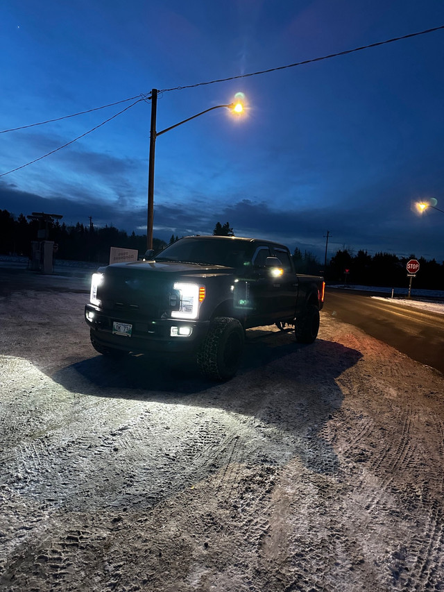 2018 Ford F250 in Cars & Trucks in Winnipeg - Image 2
