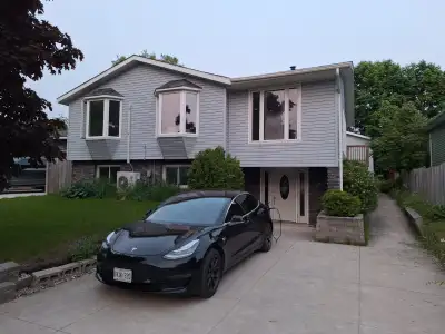 Newly renovated 2 bedroom/1 bathroom Kincardine rental