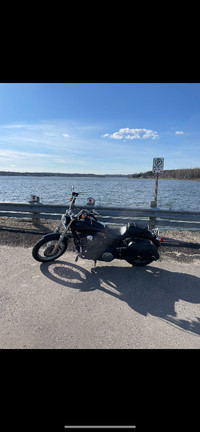 2008 Harley Davidson Street Bob