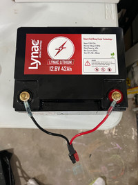 Lynac lithium battery  12.8v 42 ah with 3A charger 