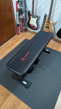 Exercise Flat Bench
