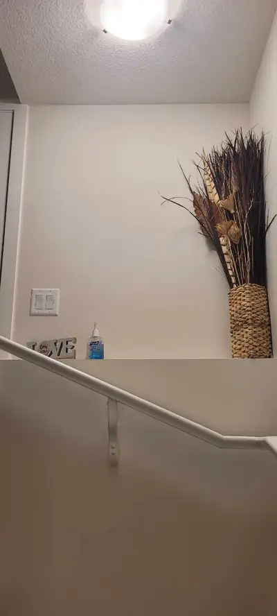 2 bedroom ALL inclusive  fully furnished basement